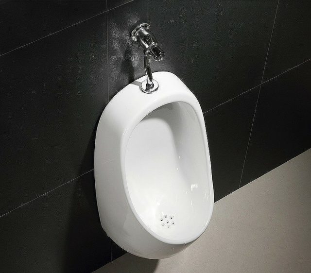 Писсуар CeramaLux X541P с кнопочным механизмом смыва — изображение 2