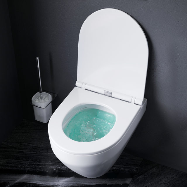 Комплект унитаза с инсталляцией AM.PM Spirit V2.0 CK70HA с сиденьем Микролифт с клавишей смыва Хром с гигиеническим душем и аксессуарами для ванной комнаты — изображение 16