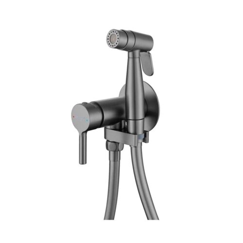 Гигиенический душ со смесителем встраиваемый Raglo R20.54.09, графит