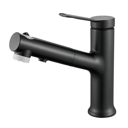 Смеситель для раковины многофункциональный Raffine F281H, черный